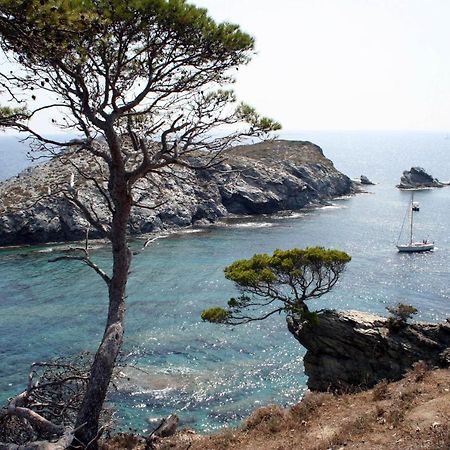 T2 Vue Mer 50M De La Plage A Giens Hyères Dış mekan fotoğraf