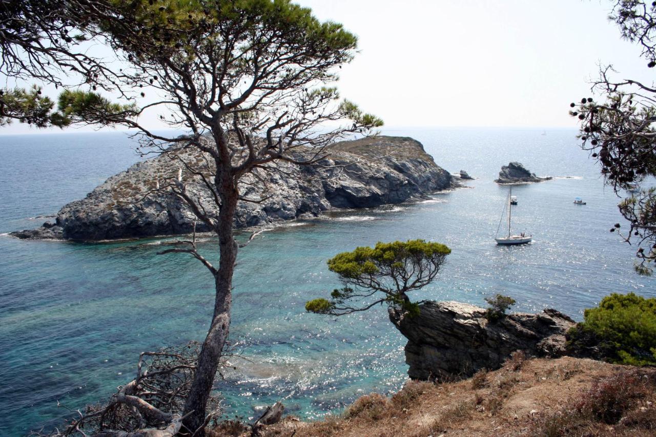 T2 Vue Mer 50M De La Plage A Giens Hyères Dış mekan fotoğraf